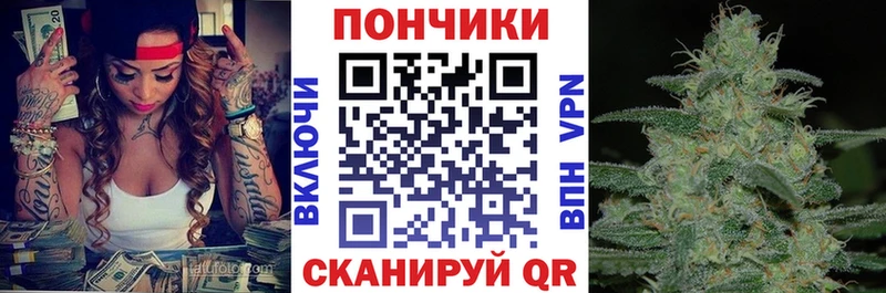 Канабис планчик  блэк спрут ССЫЛКА  Волгоград 